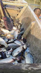 kala mo marami huli mga junitor pala ang huli hehehe pang apat na pandaw... | Noel Caubat