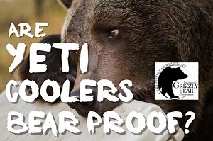 Are Yeti Coolers Certified Bear Proof?