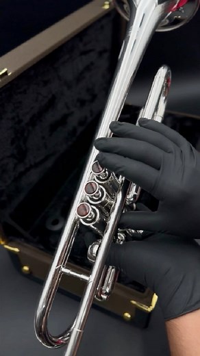 29K views · 494 reactions | Trompeta Standard Plata:...