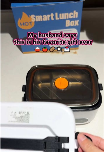 Wireless Heating Lunch Box for Perfect Hot Lunches