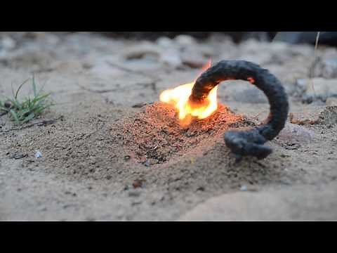 Snake vs Ant Hill