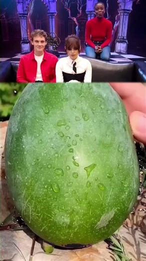 This is so funny, l couldn't stop laughing #funny#doddlersoftiktok #funnyvideos#trend