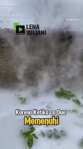 🧊 “Cara Aneh Usir Hama Pakai Es Kering!” #fblifestyle | Lena Juliani
