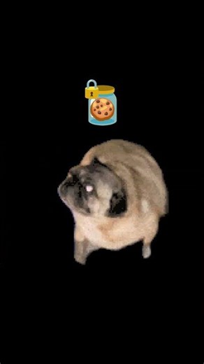 Like For A Cookie