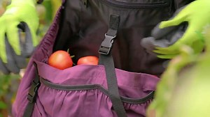 Gardening Apron With Pockets, Harvest & Foraging Apron for Gardeners in Purple, Green or Grey - Etsy