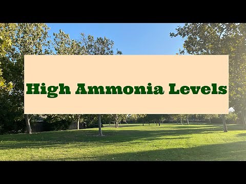 High Ammonia Levels