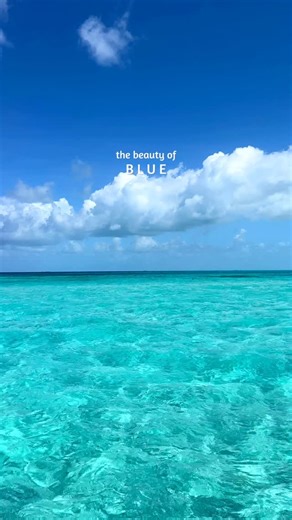 Melissa ☀️ Beach & Ocean Travel on Instagram: "Ever wonder why the ocean can be so many colors? 🌊 Ocean color isn’t random, it’s shaped by depth, sunlight, algae and what’s on the seafloor! Here’s what each shade means: 💙 Deep blue: very deep water 💎 Turquoise: shallow, sandy-bottom areas 💚 Green tones: higher plankton levels 🤍 Milky blue: stirred-up sand or limestone 🩵 Pale blue: shallow water with bright white sand Which ocean color is your favor