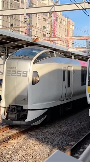 市川駅を高速通過するE259系0番台12両（2026.5.9.17:07）