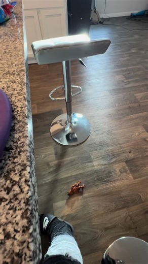 Funniest FNAF Memes with Toy Freddy Edits