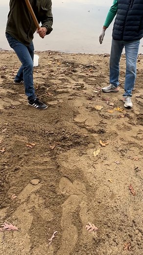 They got lucky on the beach! Treasure hunting with their "sand rake" uncovers valuable finds! | Steve J