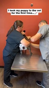 313K views · 5.1K reactions | The scream lol #comedy #funnyvideos #dogs #funny #funnypets #doglover #pets | No Days Off Lifestyle | Facebook