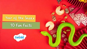 Year of the Snake: 10 Interesting Facts - Twinkl