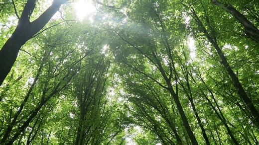 Mountains, Nature, Landscape. Free Stock Video