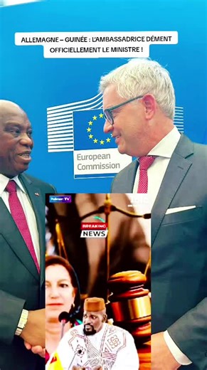 Germany's Ambassador Clarifies Controversy in Guinea