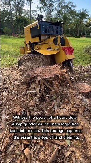 Efficient Tree Stump Grinding Process