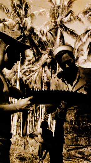 1.9K views | Savage Sailor just dropped 2 new US Navy Seabees designs—built for the “Can Do” crew who get it done. ⚓ Veteran-owned ⚓ Premium quality ⚓ Limited run  Grab yours now & rep the Fighting Seabees. #USNavySeabees #CanDo #NavyVeteran #MilitaryApparel | Savage Sailor Apparel | Facebook