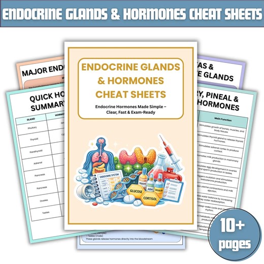 Endocrine Glands & Hormones Cheat Sheets | Nursing Study Notes | Anatomy and Physiology Study Guide | Medical Student Printable | NCLEX Prep - Etsy