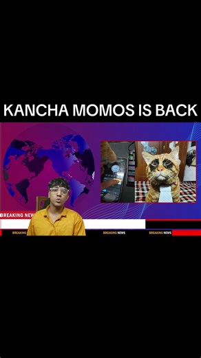 KACHA IS BACK #comedy #viralvideo #cat