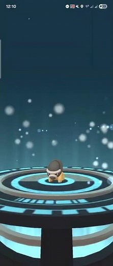 Boosted Shieldon Spawn → Bastiodon Evolution #Shieldon #bastiodon #pokemongo