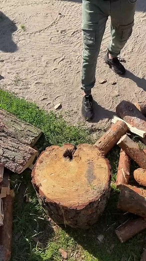 Splitting Pine Logs: Mastering Axe Techniques