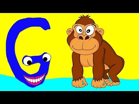 Learn the Alphabet Animals Letter - G - GORILLA
