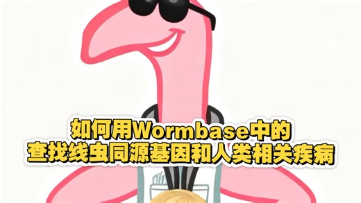 如何用wormbase查找线虫同源基因和人类相关疾病