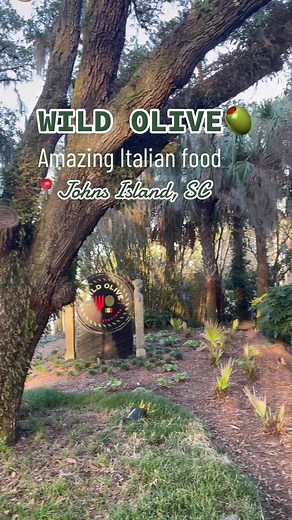 Wild Olive: A Delightful Italian Dining Experience on John's Island