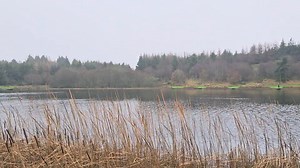 42K views · 261 reactions | Good morning, David here. So I've...