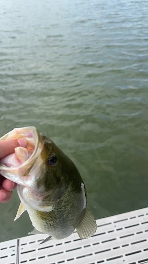 Aquaman (@_aquaman2.0)’s videos with original sound - Aquaman