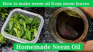 51K views · 471 reactions | How to make Organic Neem Oil For Plants at Home | Terrace & Gardening | Facebook