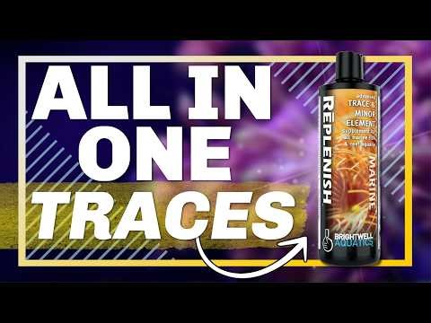 All-in-One Trace Elements for Your Reef Tank