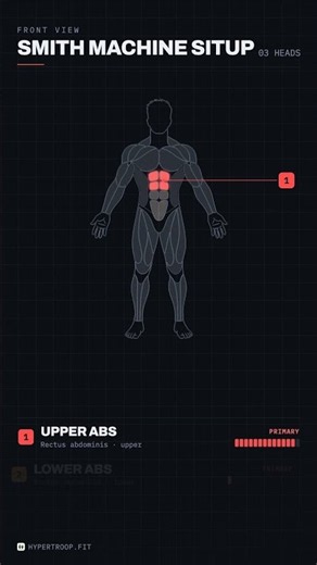Muscle Activation 101 (Advanced) - Smith Machine Situp