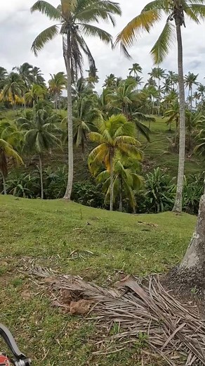 13K reactions · 67 shares | #reelsvideo | Ver Ver | Facebook