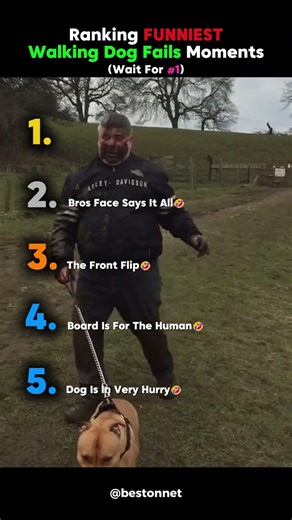Ranking Best Funniest Walking Dog Fails Moments