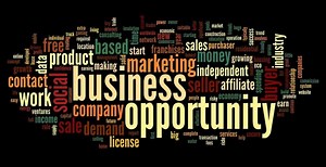 5 Types of Business Opportunities – Business Ideas