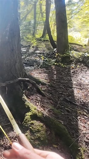 A trout a day, to keep ya sane! No.546! A tiny brookie from a tiny PA cold spring! | Skyler McCafferty