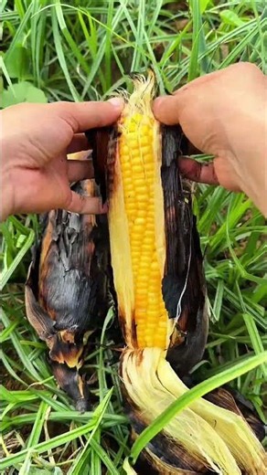 The Most Satisfying Way to Roast Corn 🌽🔥 | Perfect Sweet Corn!#RoastedCorn #SweetCorn