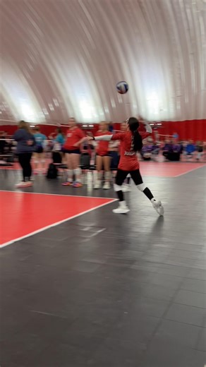 Aylene Serves Up a Win~!!! =^.,.^= ❤️ #cat #volleyball #libero #ace #ncaavolleyball #bigten #coach