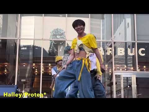 Halley/Protea*(バイプロテア) 【2025年8月31日 @歌舞伎町タワー タワーステージ】