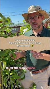 Never Buy Fruit Again With This Method #FoodForest #Homesteading #GrowYourOwn
