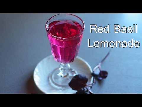 Purple Basil Lemonade Recipe