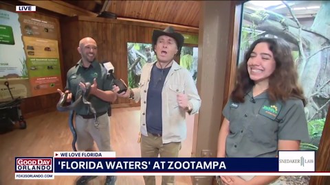 New Florida Waters exhibit opens at ZooTampa