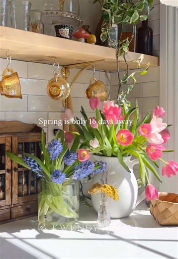 Hang in there. Spring is coming. Flower timelapses are some of my favourite things to watch. I can’t wait till the world blooms like this again. What flower should we capture growing next? So far we’ve done dancing tulips, peonies, magnolia, daffodils, hyacinths, hydrangeas, grape hyacinths, roses, ranunculus! I’m thinking lilies next. #spring #timelapse #flowers