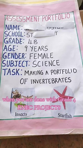 Grade 4 KNEC Projects 2026: Science & Creative Arts Ideas