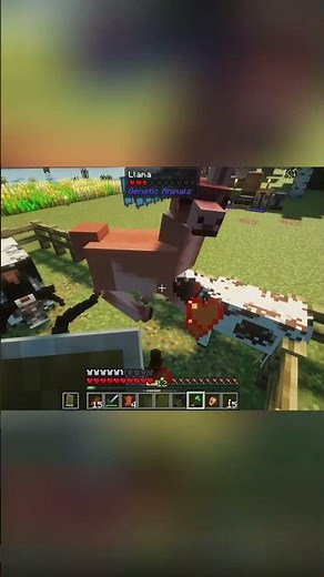 Minecraft Cows vs Llamas: Breeding & Trading Secrets Revealed! #shorts