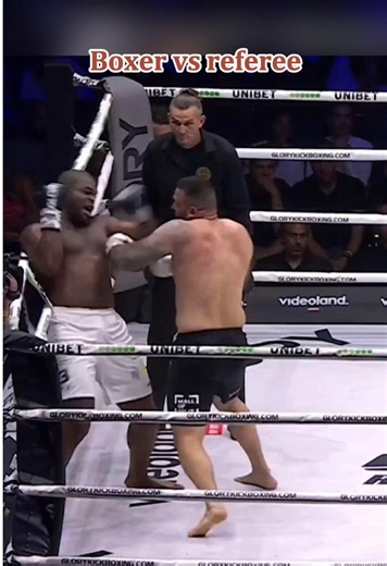 Boxer vs referee#referee #boxing #mma #ufc #fyp