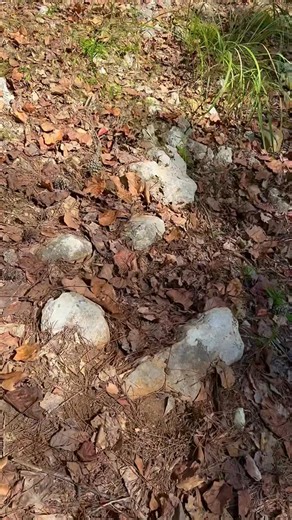 86K views · 2.4K reactions | Uncover Alabama | St. Stephens Historical Park - Washington County This seemingly forgotten town is the place where Alabama began. St. Stephens was the capital of the Alabama Territory & a bustling frounteir town at its height. Today, you can walk down High Street & imagine what it could have been like over 200 years ago. #alabama #history #uncoveralabama | Uncover Alabama | Facebook