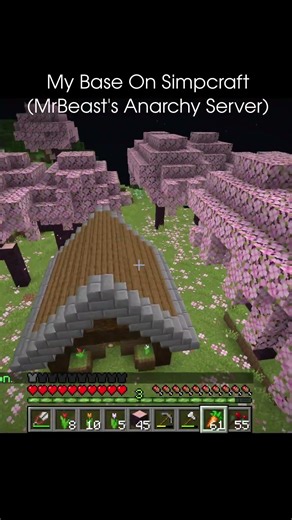 My House on Simpcraft (MrBeast's Anarchy Server)