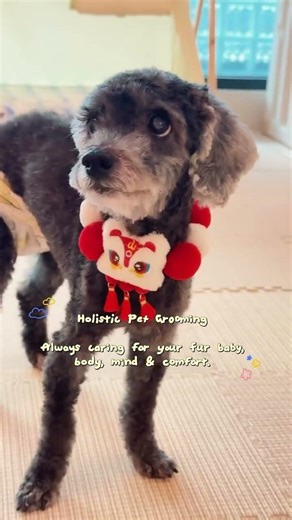 A holistic grooming place created with your dog’s emotional and physical well-being in mind 🤍