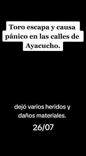 Toro causa pánico en el cercado de Ayacucho